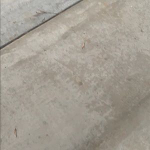 Meet your Posher, Alexa